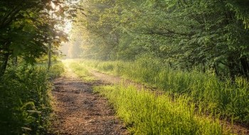 The Heroine’s Journey of Discovery