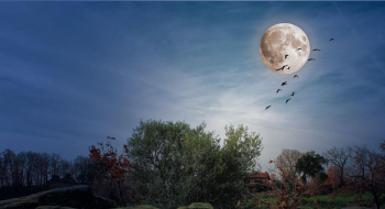 Night (A poem)